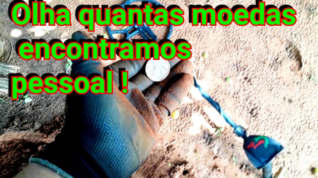 Dia das moedas na chácara...