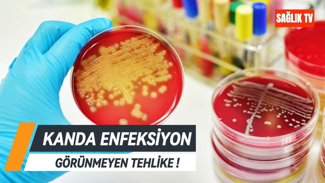 KANDA ENFEKSİYON NASIL GE&Ccedil;ER ? Neden olur? Belirtileri nelerdir? #enfeksiyon #belirti #hastalık