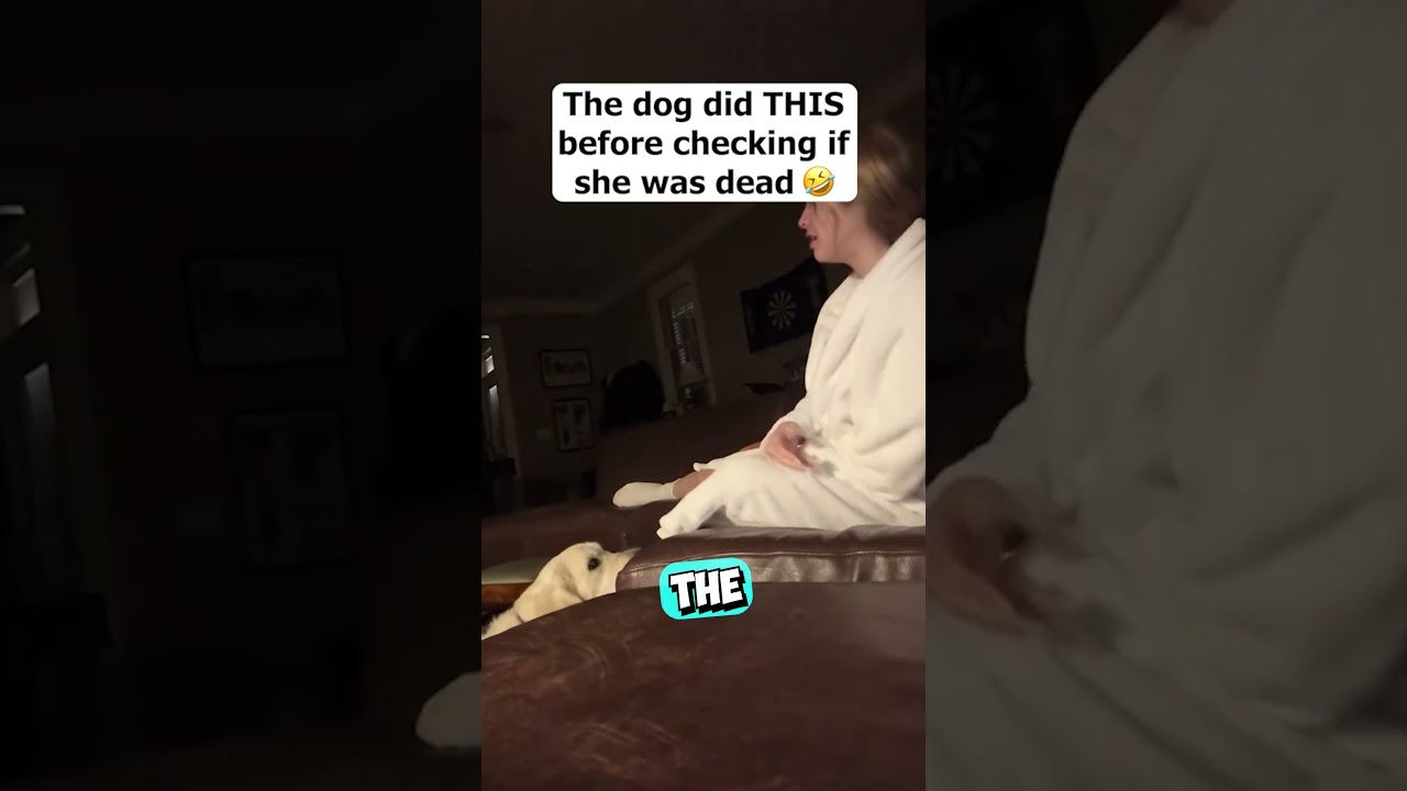 She Wanted to See How Her Dog Would React 😳 #shorts