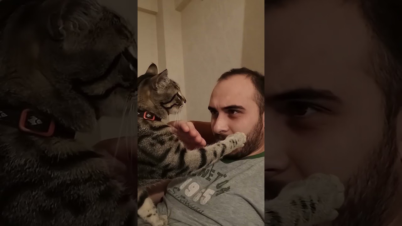 This is your daily dose of cattt