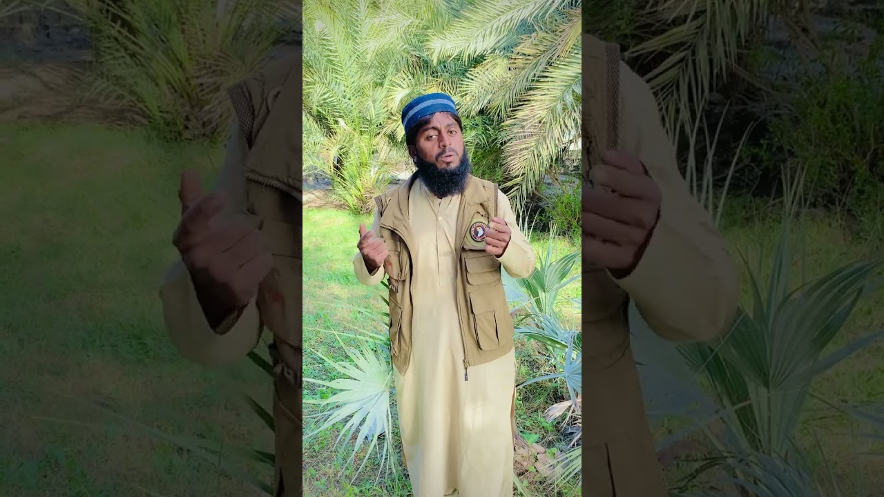 Madina//maqbol saeed//poet abdul raoup abdullah//2025 Naat