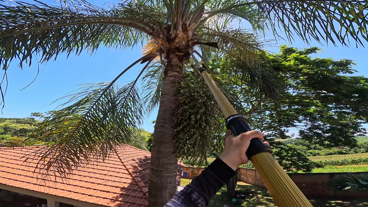 ATUALIZAÇÕES DAQUI DE CASA NO FIM DE ANO 