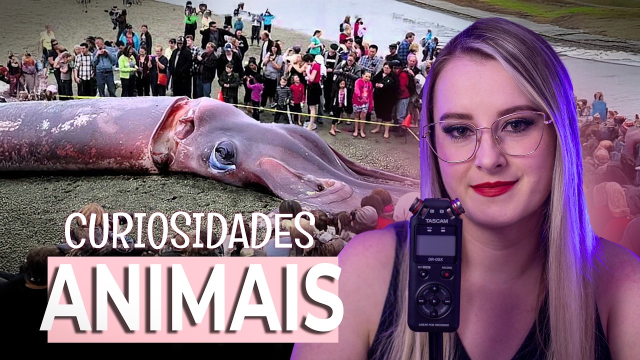 ASMR | CURIOSIDADES SOBRE OS ANIMAIS | SUSSURROS NO TASCAM | BINAURAL | FATOS INTERESSANTES