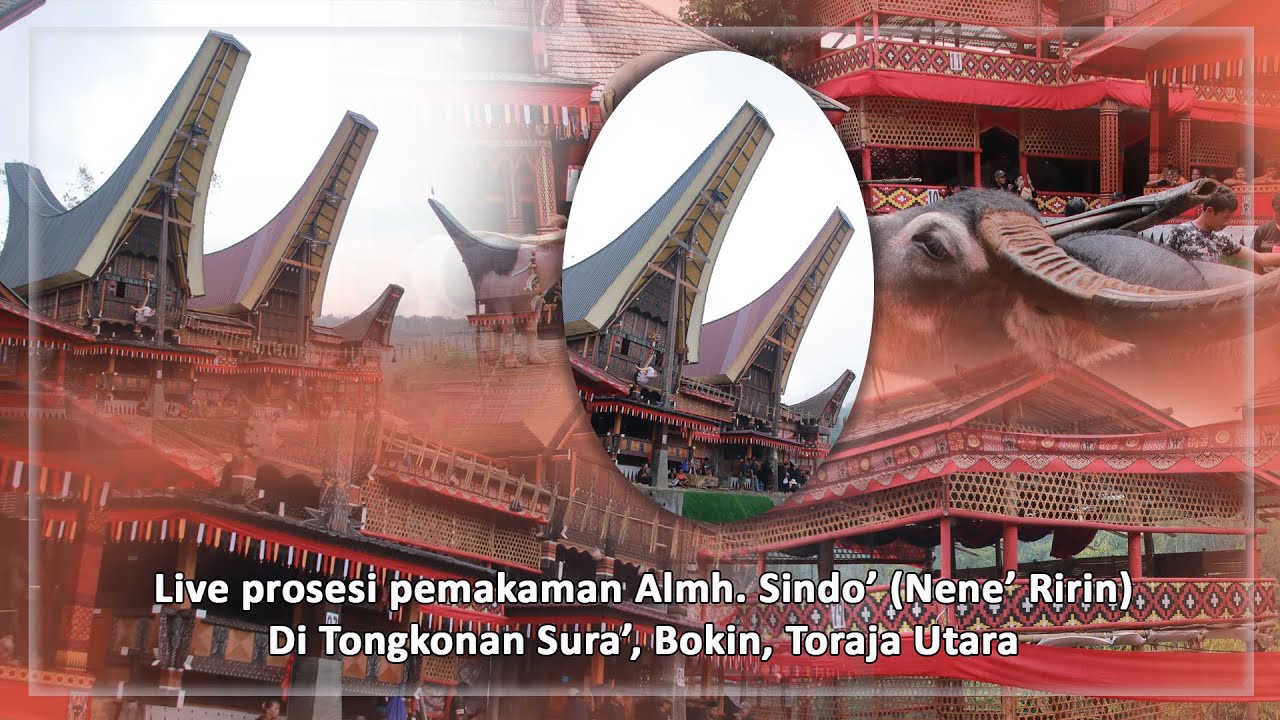 Live Prosesi Pemakaman Almh. Sindo' (Nene' Ririn) di Tongkonan Sura', Polo Buntu, Bokin, Rantebua