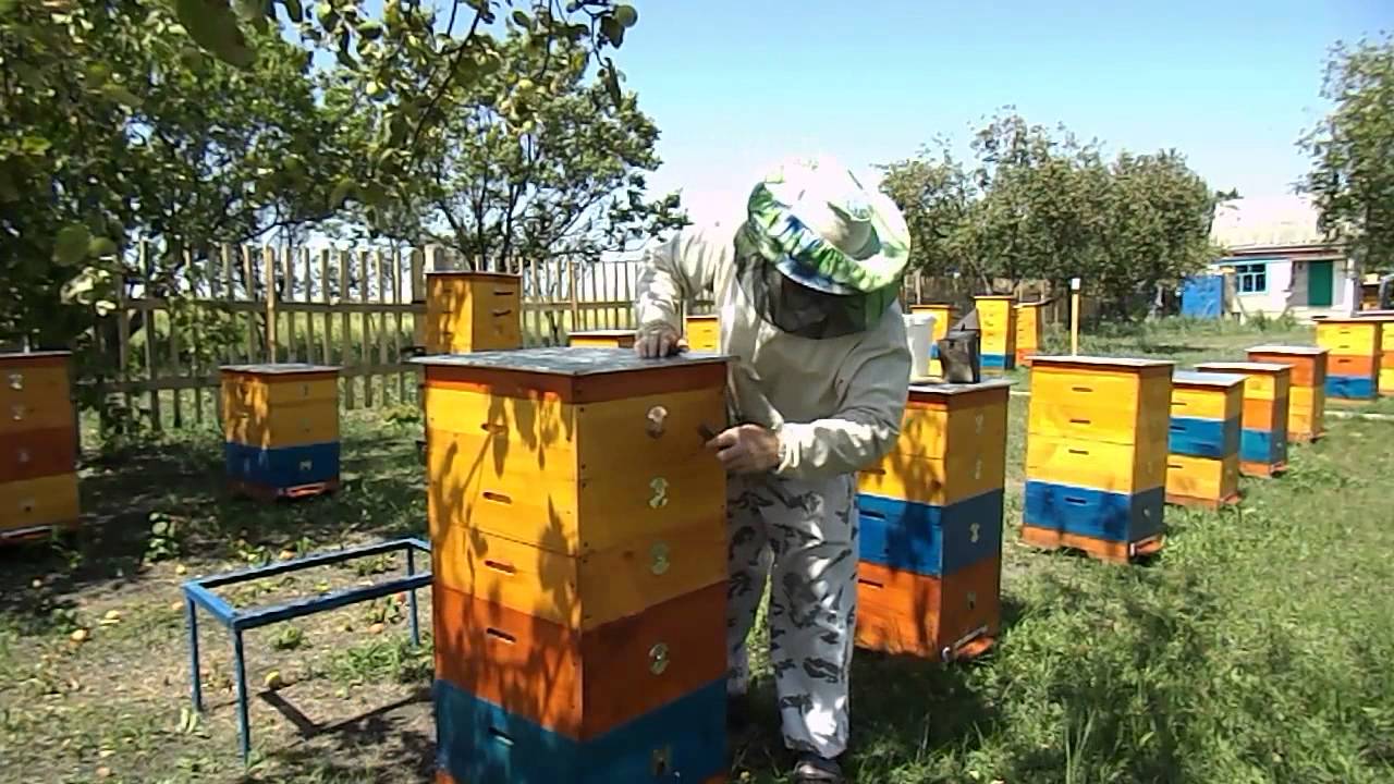 УДАЛИТЕЛЬ ПЧЁЛ ИЗ ТРУБКИ . REMOVER bees out of the tube.