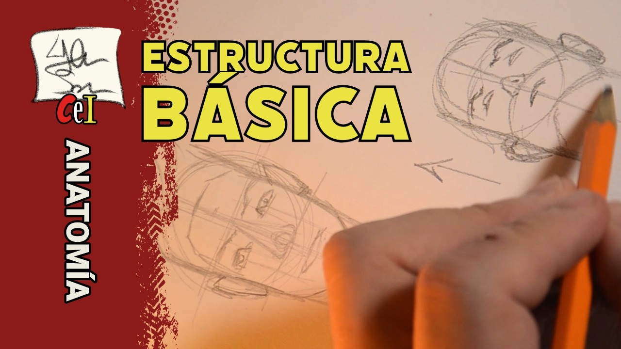 DIBUJAR CABEZAS: Estructura, Canon y Proporciones Fáciles (Tutorial de Dibujo)