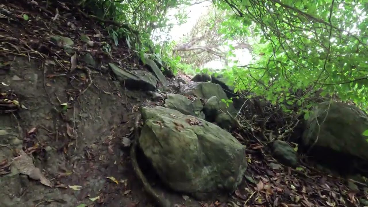 Plus Ultra Chocó's Capurganá Hike