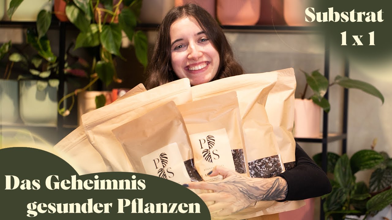 🌿 Das perfekte Substrat für Zimmerpflanzen: So wachsen sie schneller & gesünder! 🌱