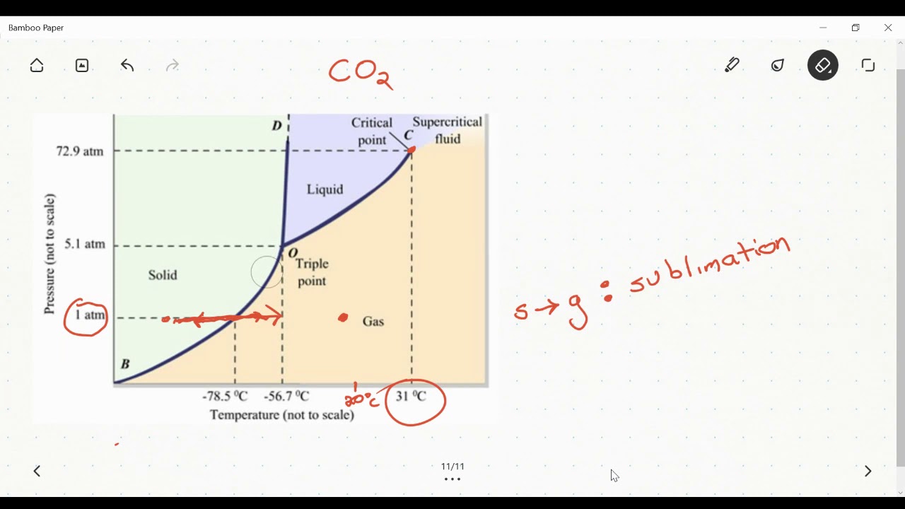 The phase diagram of carbon dioxide