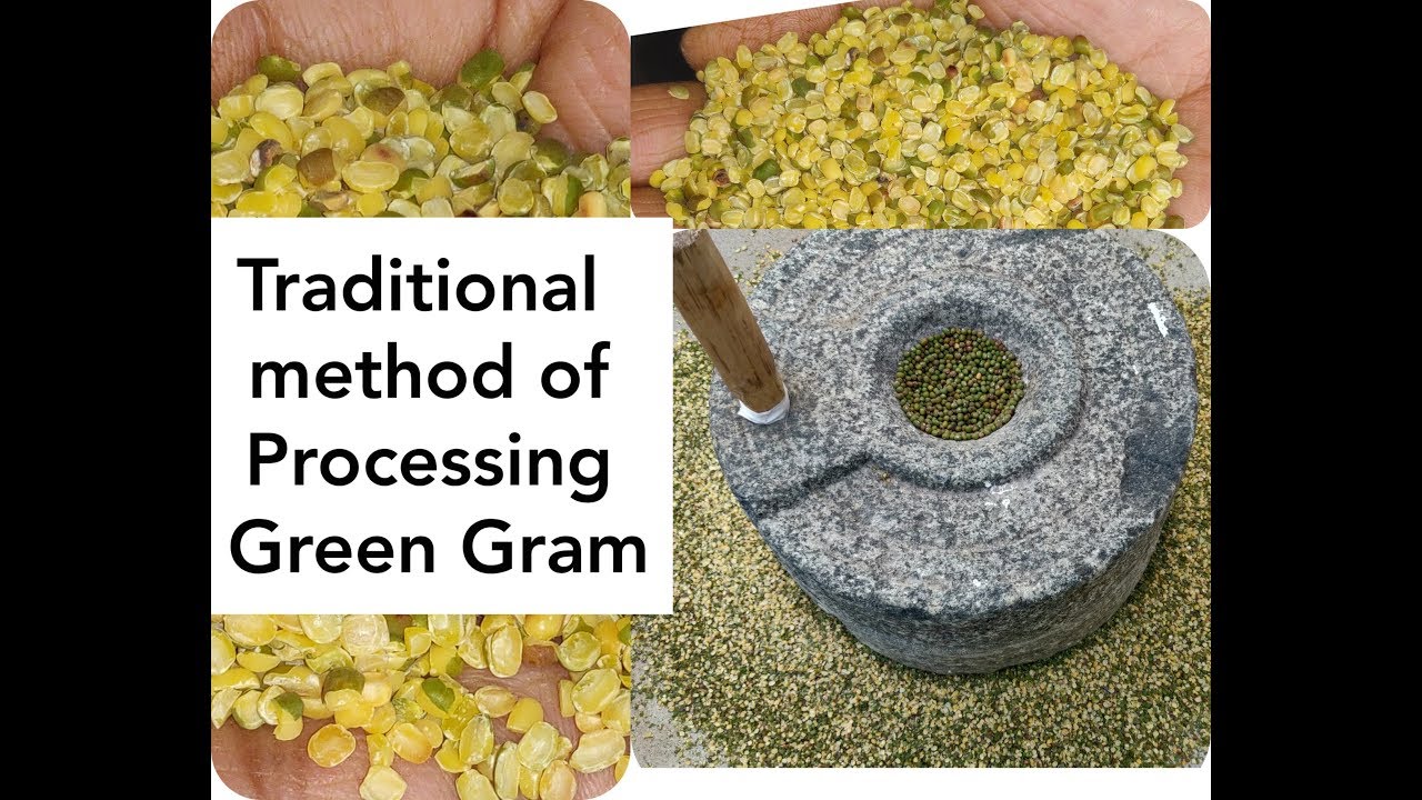 Green gram Processing in traditional method in home/பச்சை பயிர் உடைத்தல்/Moong dal cleaning in Tamil