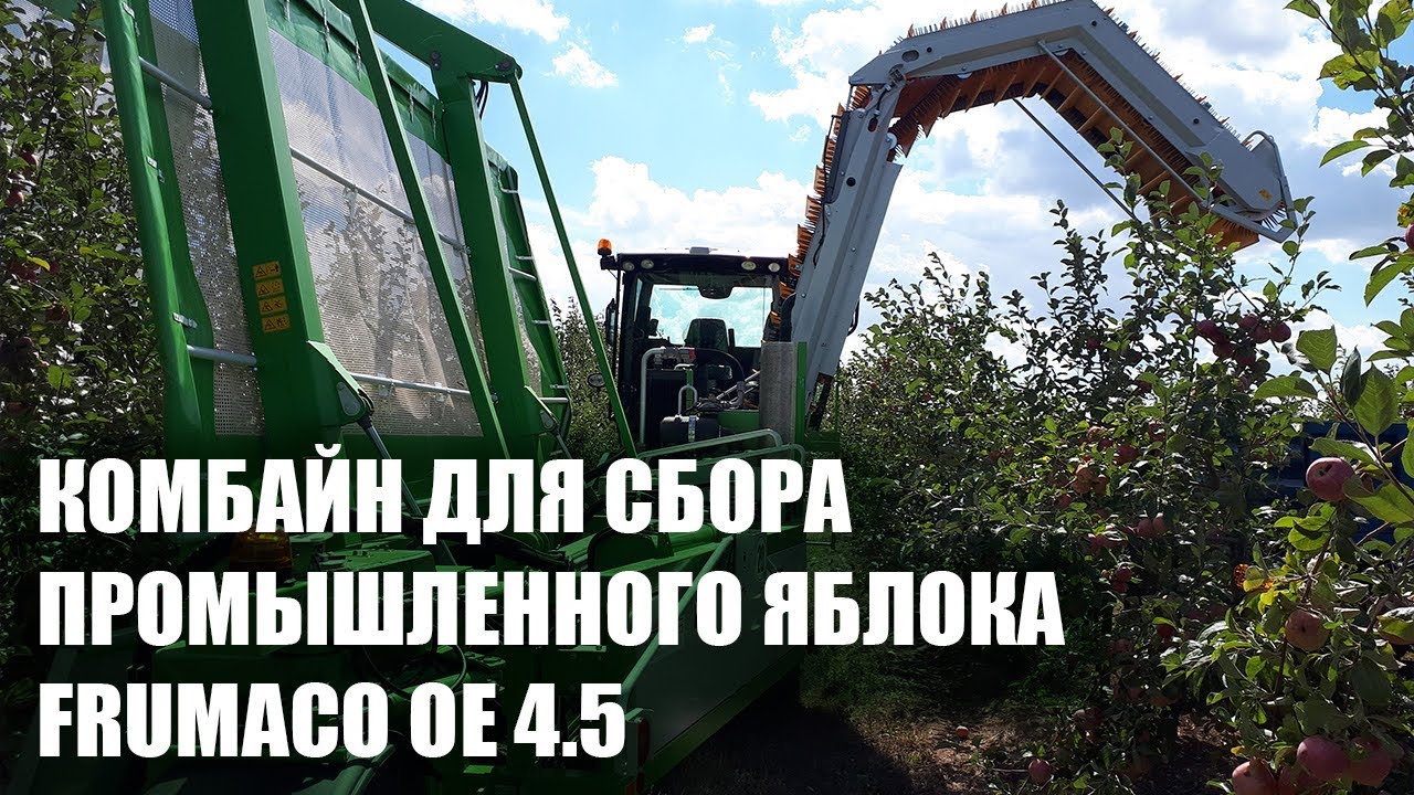 Комбайн для сбора промышленного яблока на переработку