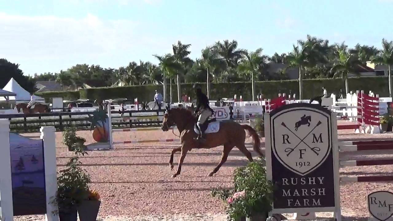 Spring Girl 7yo Class- Winner WEF17