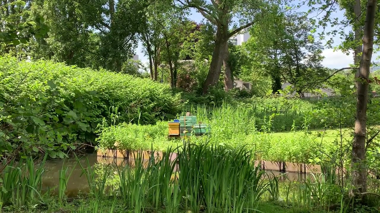 Westerpark, Amsterdam