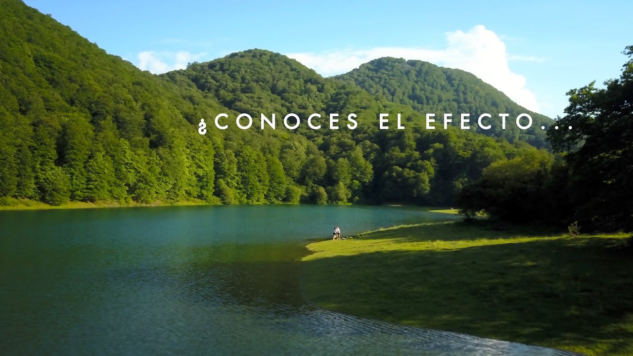 ¿Conoces el “Efecto Navarra”?