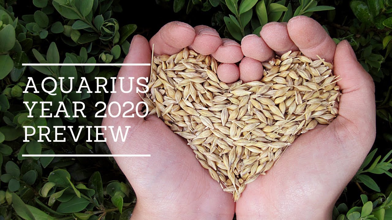 Wander Straight Into their Arms ♒ Aquarius Yearly Preview 2020 Part DEUX