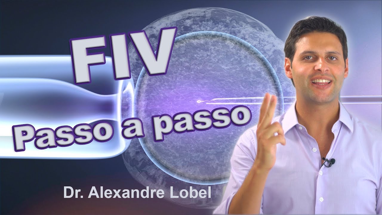 FIV: passo a passo do tratamento