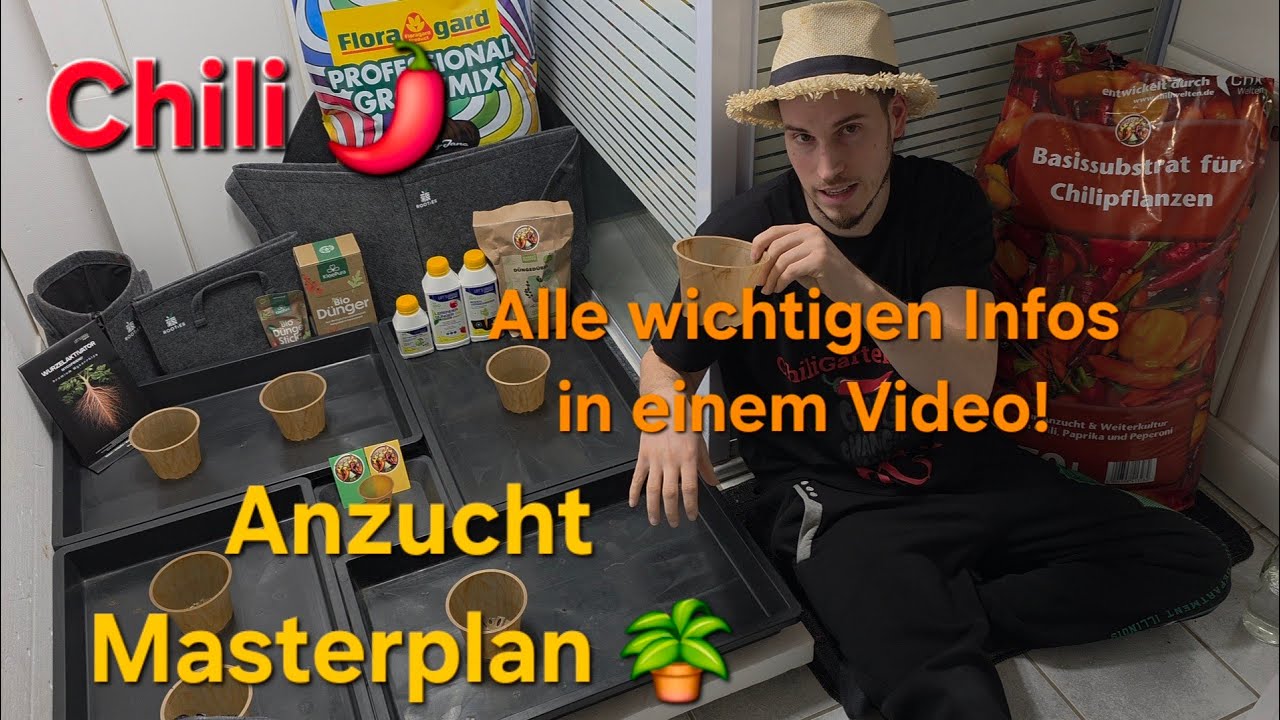 Du startest zu früh mit deiner Anzucht! 🙈 Chili Anzucht - alles was du wissen musst 🫑🌶