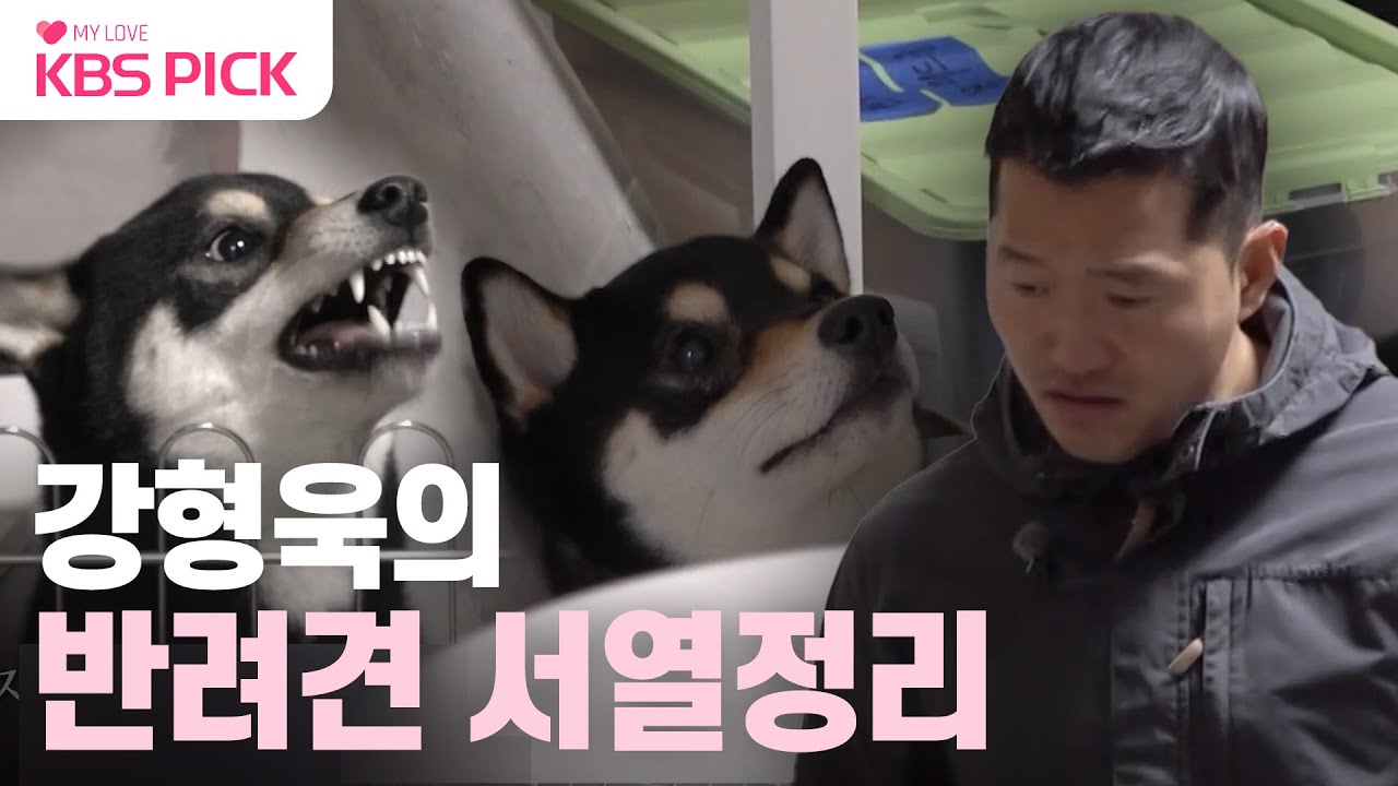 [#개는훌륭하다] 살벌한 훈련 분위기😨 