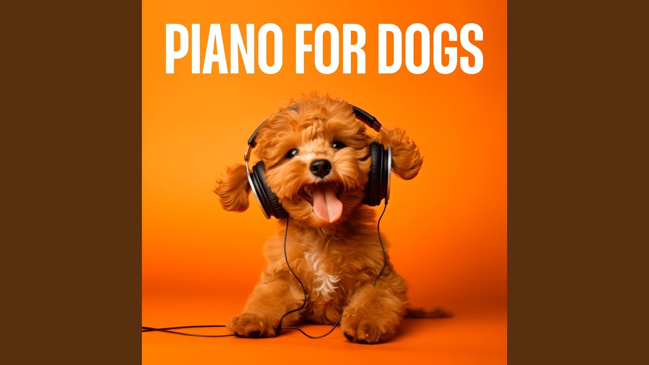Waltzes, Op. 64: No. 1 in D-Flat Major 