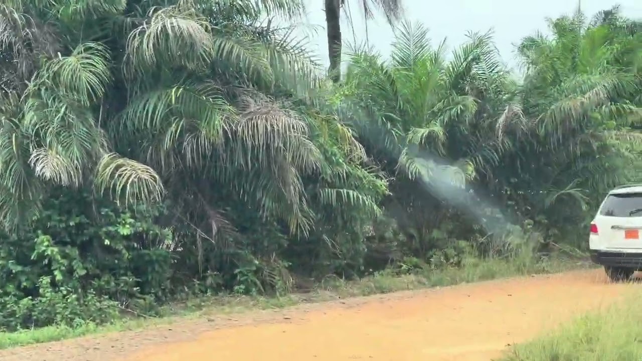 Marshall Road: Road from Boy's Town to Libassa.