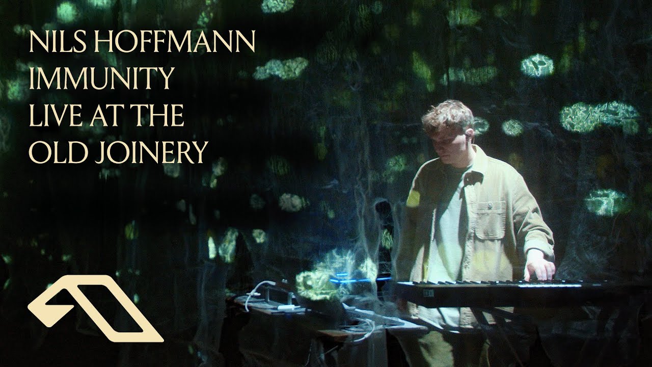 Nils Hoffmann - Immunity | Live at The Old Joinery, Greenwich