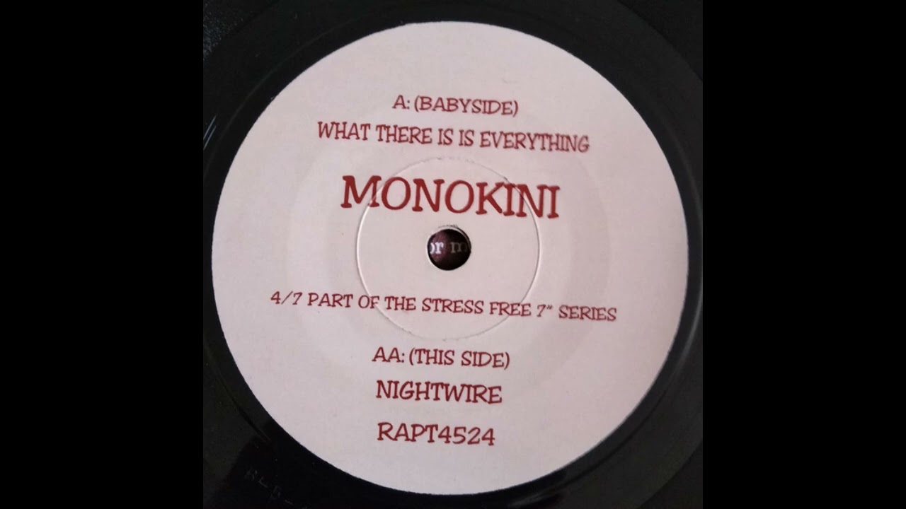 Monokini – What There Is Is Everything