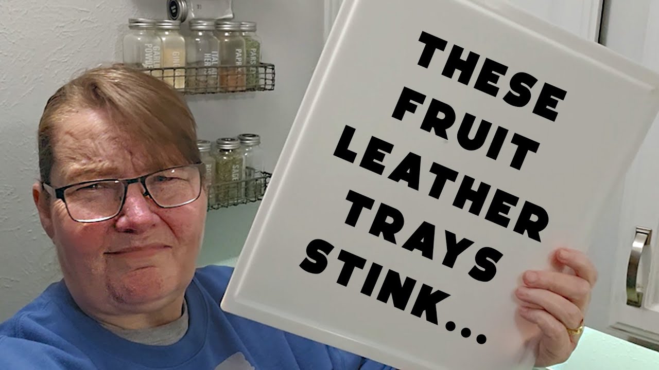 Stop using these fruit leather trays - Better Options and Making Fruit Leather from the Pantry