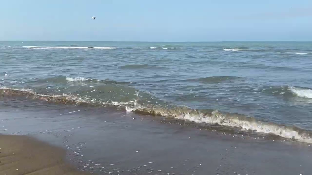 🌊1 Hour Beach Waves | Stop Racing Thoughts & Sleep Soundly🌙