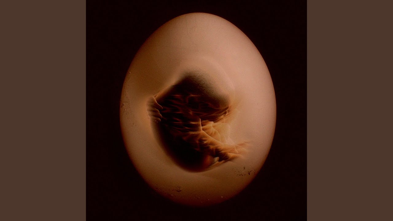 Reborn (intro)