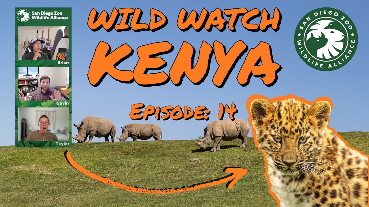 Wildwatch with Us: Ep. 14