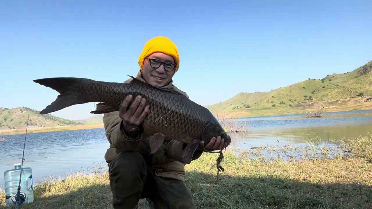 night fishing carp 3/14/26