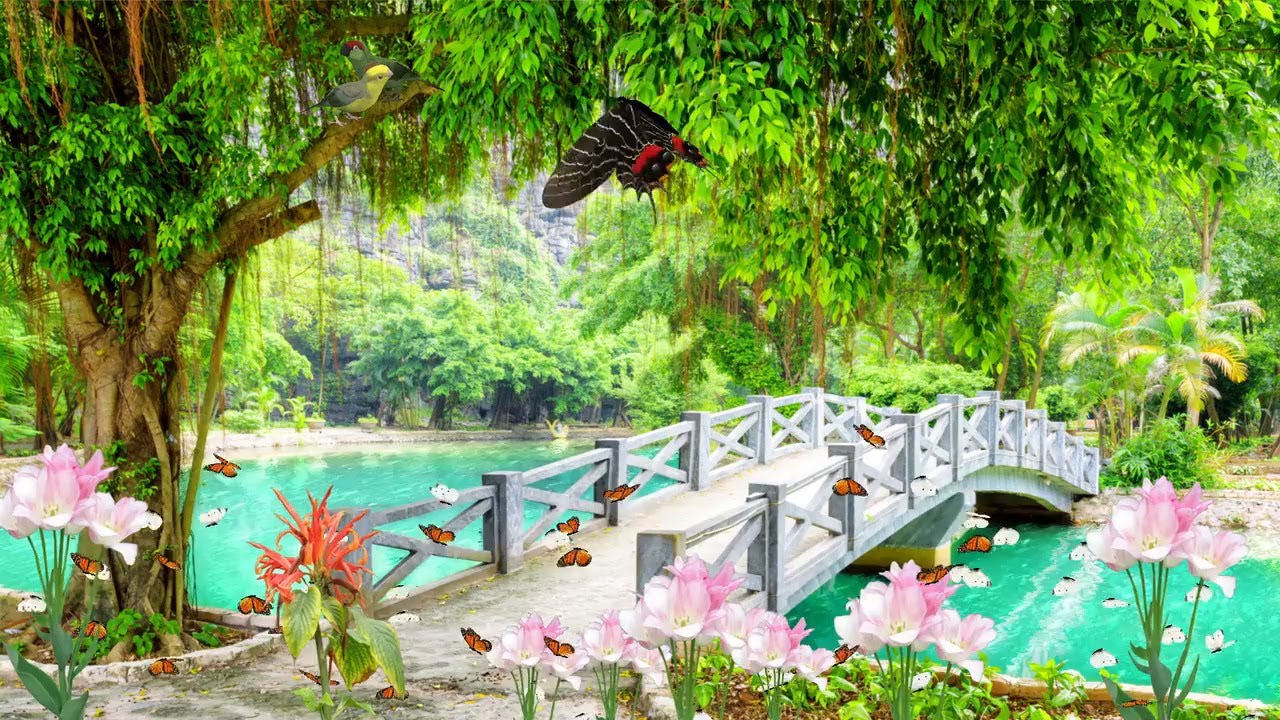 🐦‍🧘🏼MEDITA🧘🏼🐦‍