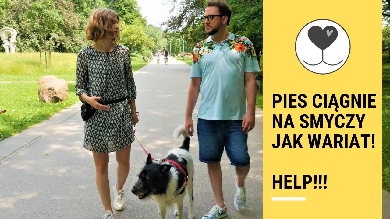 Mój pies CIĄGNIE NA SMYCZY jak wariat! HELP!
