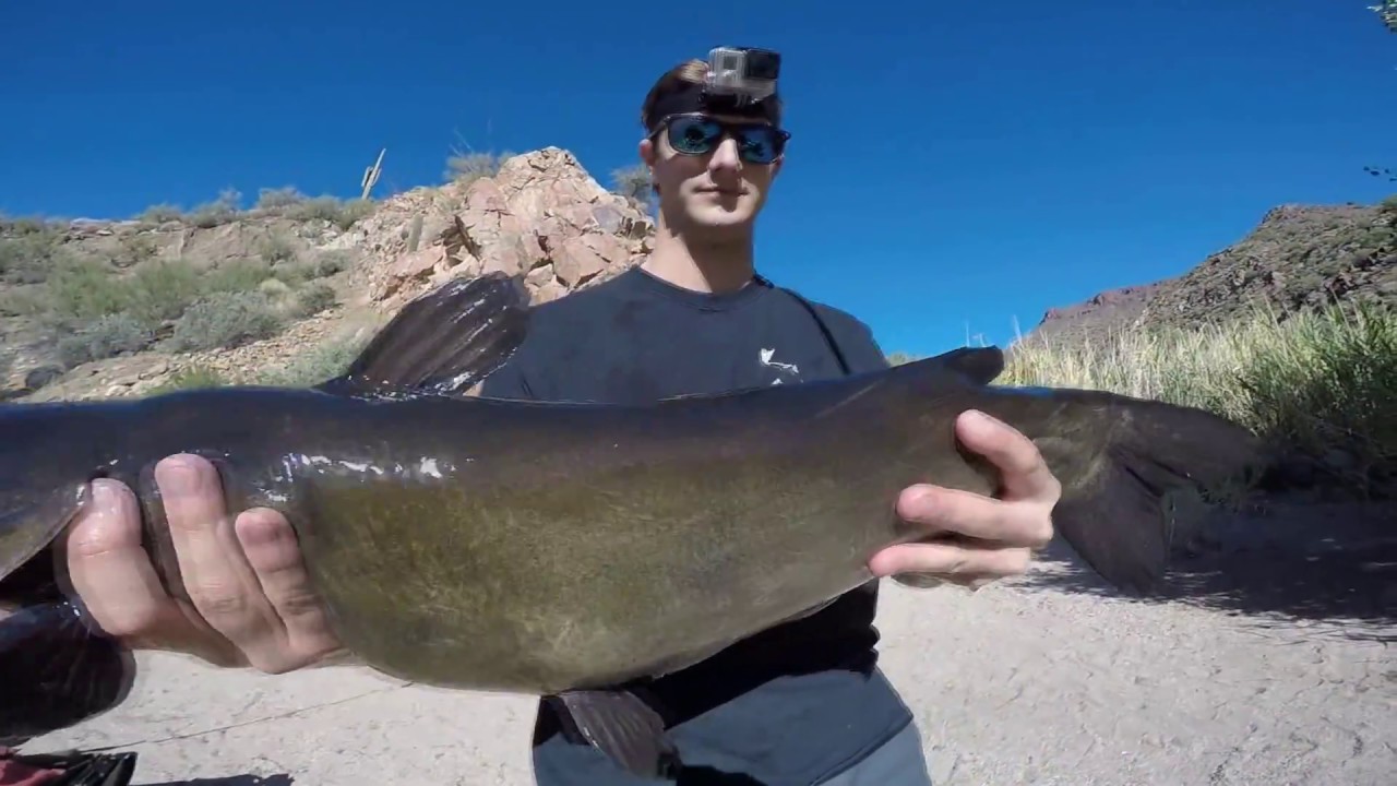 Big Apache Lake Catfishing