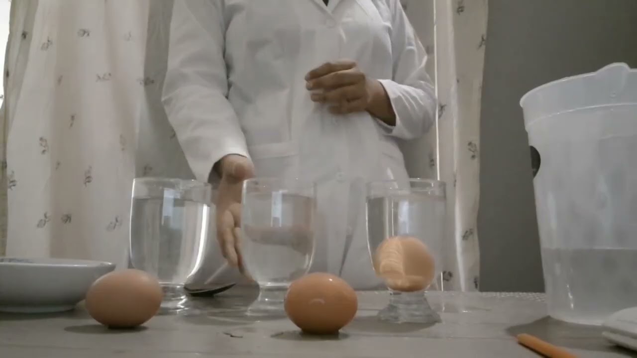 Experimento del huevo flotante