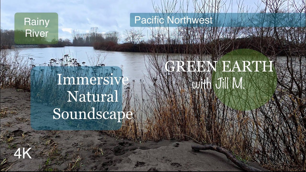 Nature Soundscape:  Rain on the River