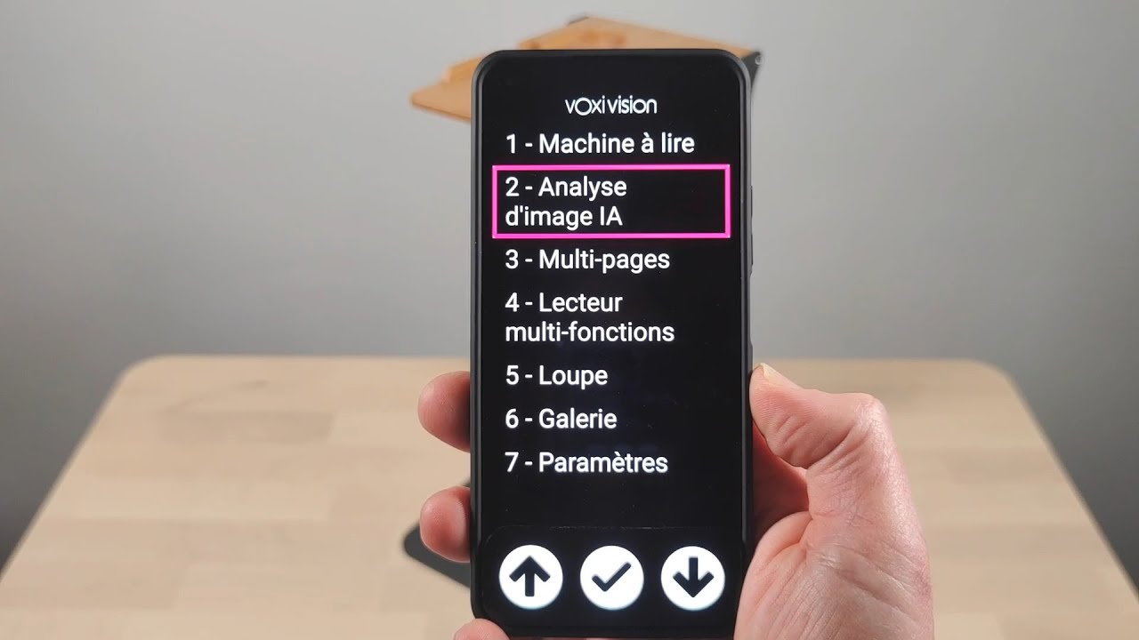 VoxiVision (2024) - Analyse d'image avec l'intelligence artificielle