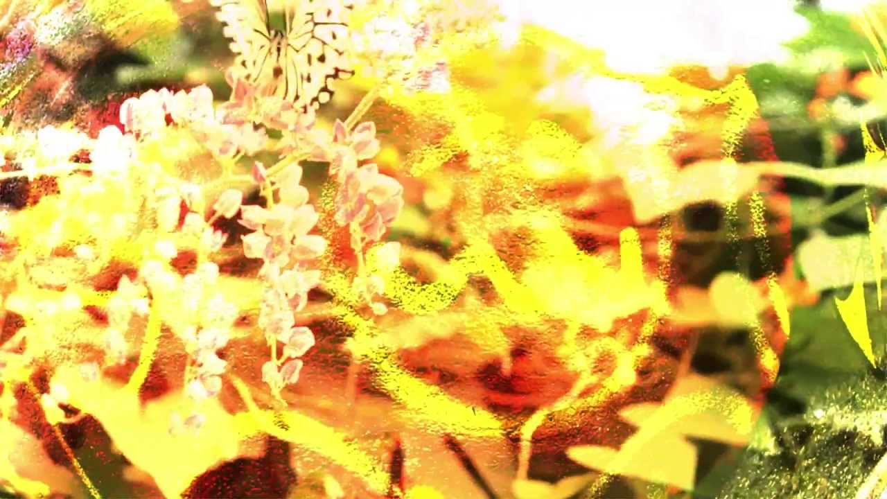 Pretty Lights - Sweet Long Life (Bonus Track) - A Color Map of the Sun