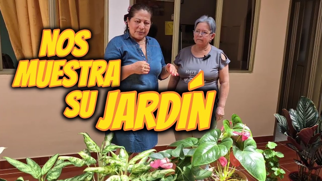 JARDIN de la señora Maria Luz | Anturios Orquideas Begonias.