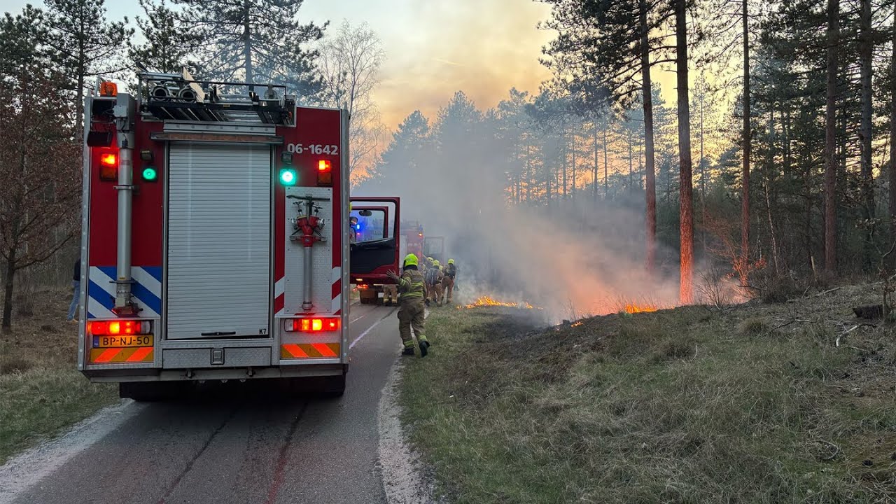 Bosbrand in Nunspeet: Brandweer met spoed uitgerukt