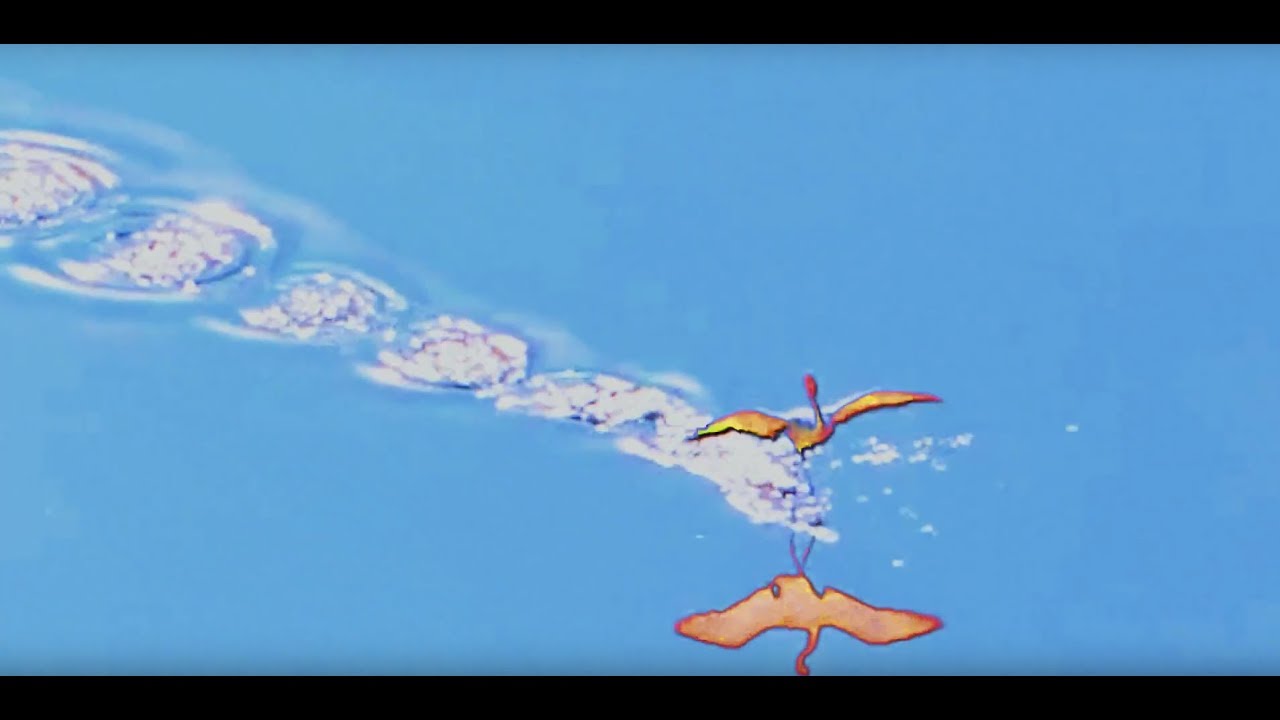 Elderbrook – Sleepwalking