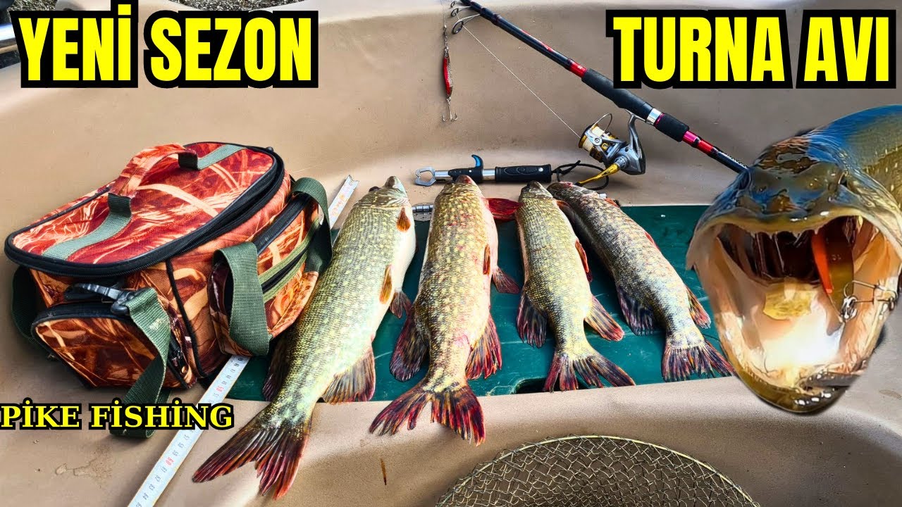 Turna Avı - 2023 Sezon Açılışı - Balık Avı - Pike Fishing