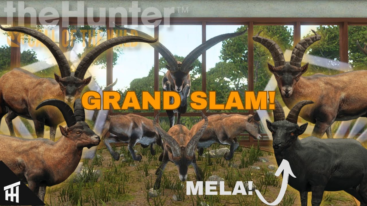 Я собрал маунта «Большой шлем» за ОДНУ ОХОТУ! | Куатро Колинас | theHunter: Call of the Wild