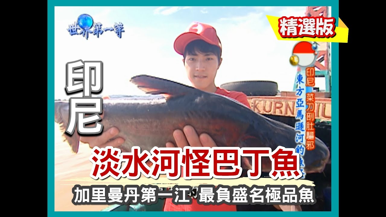 【印尼】加里曼丹第一大河 馬哈坎河極品巴丁魚（路邊小吃海龜蛋）｜《世界第一等》338集精華版
