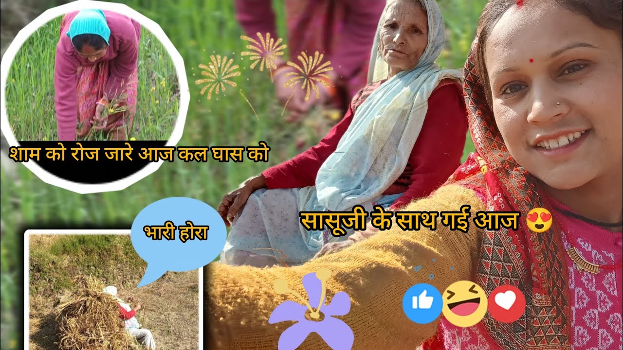 सासू जी और में गए आज घास को॥♥️ शाम को गई दीदीजी के साथ 😍#phadi life Style vlog 🥰@AlkaPharswan 