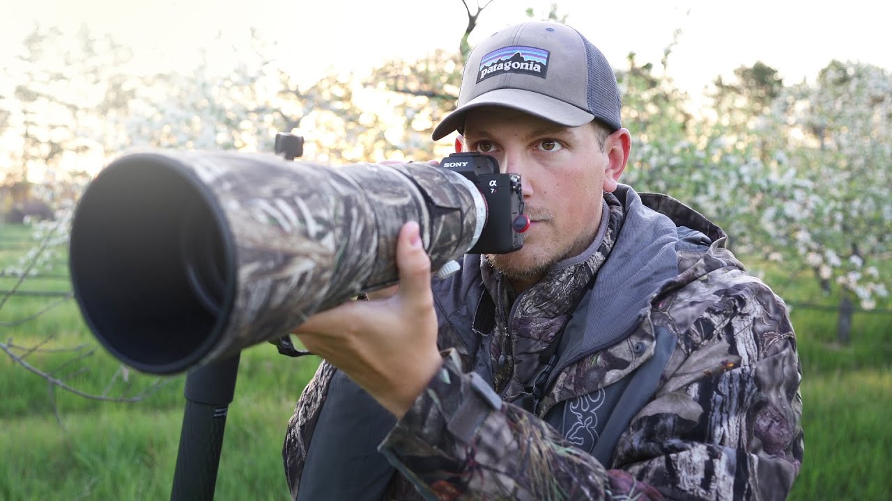 Is this the BEST Time for BIRD Photography?