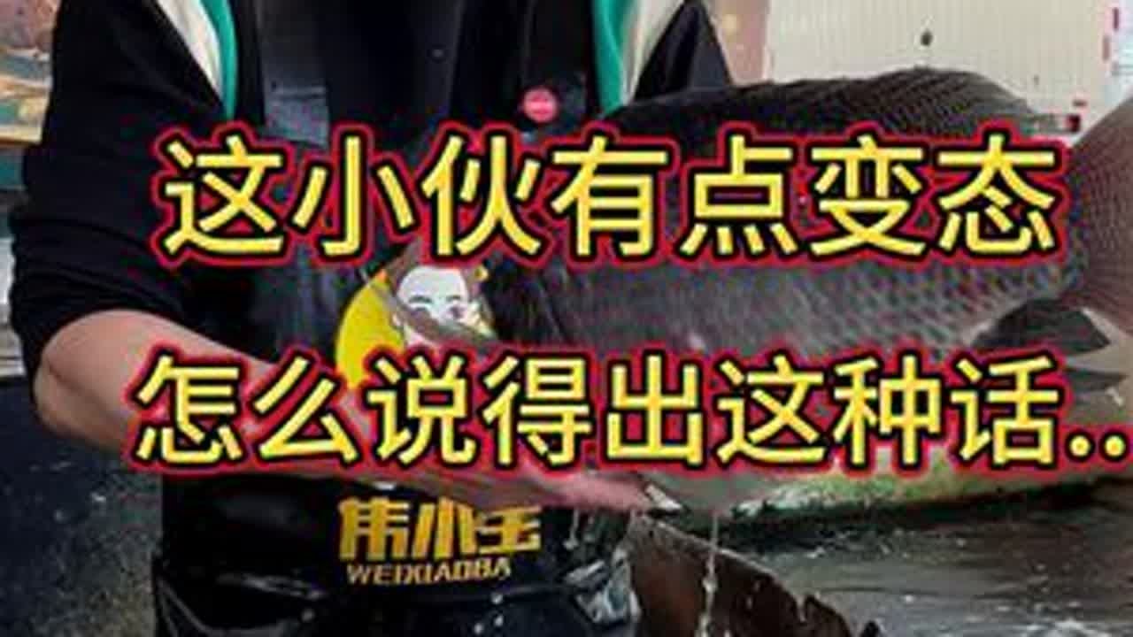 一个小伙子怎么说得出这种话，太变态了吧……#杀鱼技术 #刀工 #脆肉罗非鱼