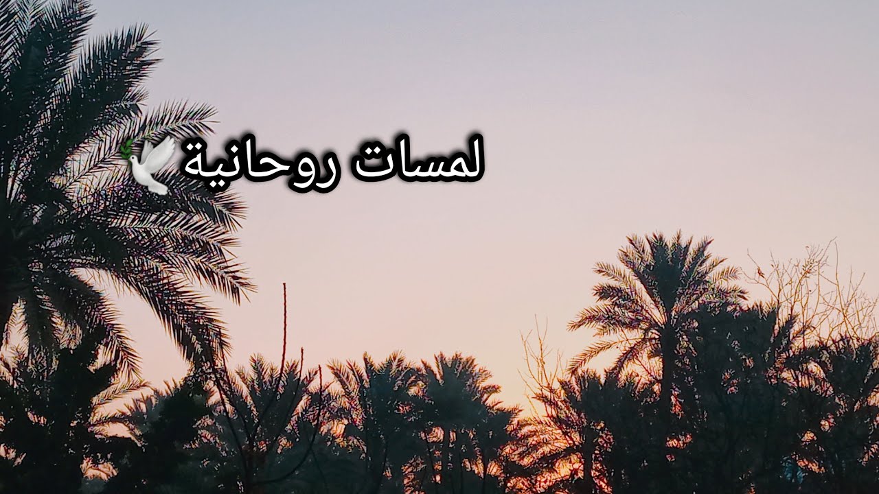 اختر كرت 💌 رسالة هامة لازم تسمعها دلوقتي حالا ⛔️ رسائل الملائكة 🕊 ليك بشأن حياتك✉️🌍