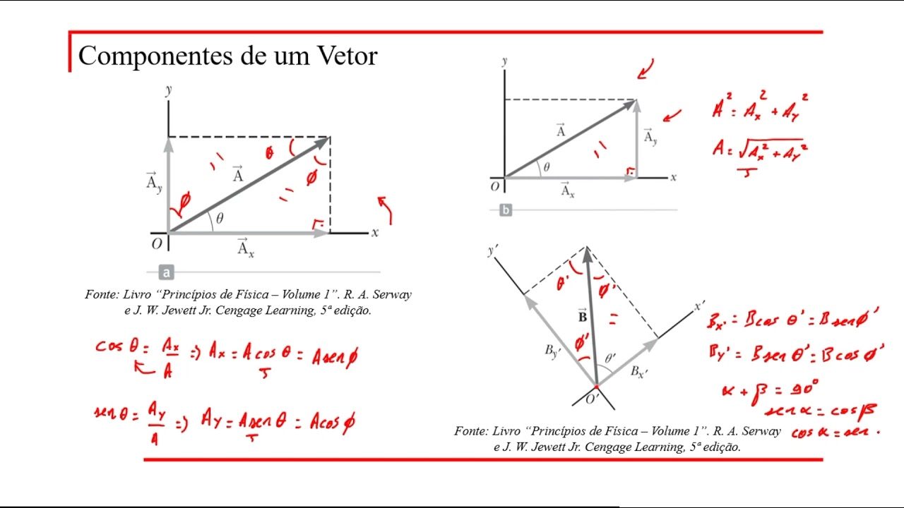 Componentes de um Vetor e Vetores Unit&aacute;rios