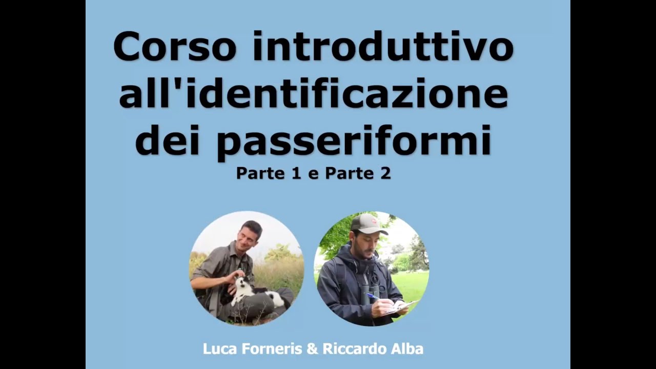 CORSO base PASSERIFORMI 1 | di Luca Forneris